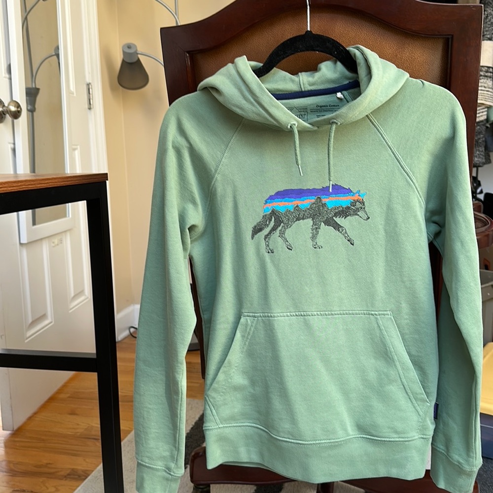 Patagonia Green Hoodie